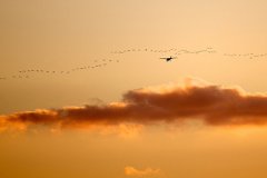 府相朝垣格命里逢空格是什么意思 会有哪些影响