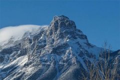 阴男土五局生肖鸡命宫戍身宫申命主禄存身主天同分析