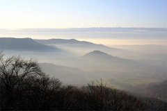 天同星平入子女宫解析 天同星入庙的寓意