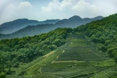 府相朝垣格有地空地劫好不好 府相朝垣格有地空地劫会有哪些影响